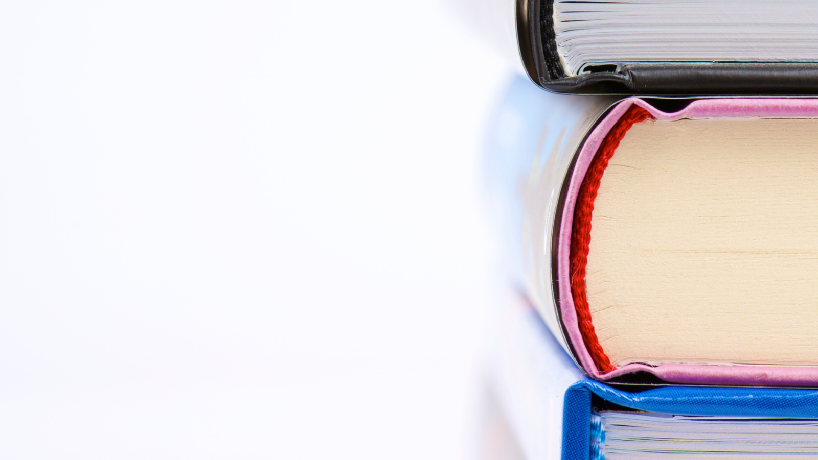 San Diego based video makers discuss books to read